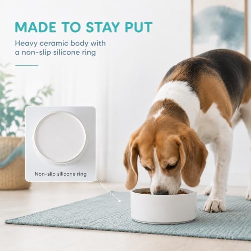 Havniva Ceramic Dog Bowls, 7.3” Dog Food and Water Bowl, Pet Feeding Bowl - Image 4