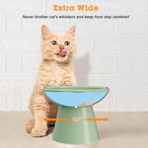 LoeJan Ceramic Cat Bowls, Elevated Cat Food and Water Bowls Set, Extra Wide and Raised Ceramic Bowls, Anti-Vomit Whisker-Free Pressure Cat Feeder for Kittens to Adult Cats - Image 5