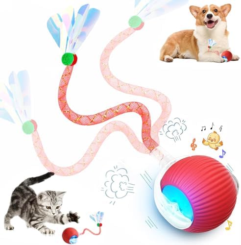 Speed 2.0 Tail Interactive Cat Toys for Indoor Cats, Moving Cat Toy by Unknown