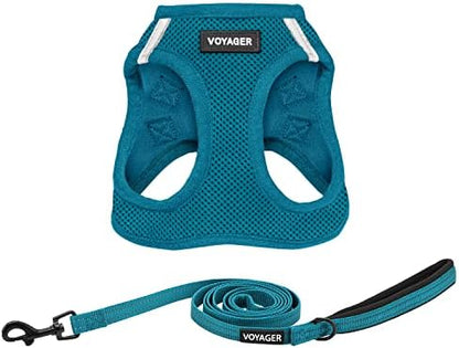 Best Pet Supplies Voyager Step-in Air All Weather Mesh Harness and Reflective Dog 5ft Leash Combo with Neoprene Handle, for Small, Medium and Large Breed Puppies - Turquoise, XX-Small by BestPetSuppliesLLC
