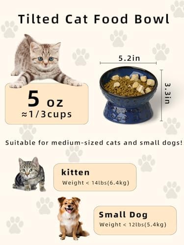Ceramic Cat Food Bowl, 15°Tilted Raised Cat Food Bowl 5oz (Vintage Blue) - Image 2