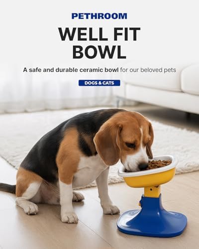 PETHROOM Well Fit Dog Bowl, Durable Ceramic Cat & Dog Food and Water Bowl - Image 2