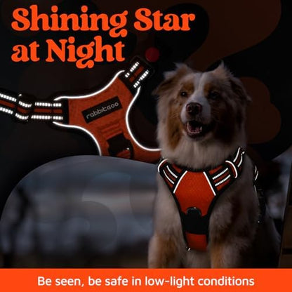 rabbitgoo Dog Harness Medium Sized, No Pull 3 Buckles Easy On & Off - Image 6