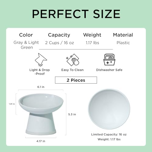 Necoichi BPA-Free Elevated Cat Food Bowls, 15° Tilted, 2-Pack (Smoky Mint) - Image 2