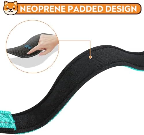 Reflective Dog Collar, Adjustable Soft Neoprene Padded,Teal,M - Image 4