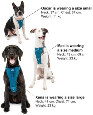 Kurgo Enhanced Strength Tru-Fit Smart Harness, Ink Blue, Large - Image 6
