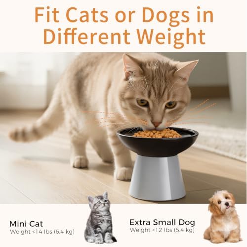 LoeJan Ceramic Cat Bowls, Elevated Cat Food and Water Bowls Set, Extra Wide and Raised Ceramic Bowls, Anti-Vomit Whisker-Free Pressure Cat Feeder for Kittens to Adult Cats - Image 6