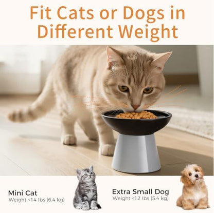 LoeJan Ceramic Cat Bowls, Elevated Cat Food and Water Bowls Set, Extra Wide and Raised Ceramic Bowls, Anti-Vomit Whisker-Free Pressure Cat Feeder for Kittens to Adult Cats - Image 6