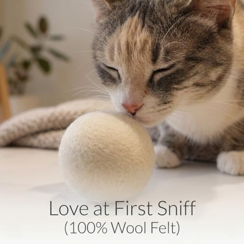 Merlin's Elf Cat Toy Balls for Indoor Cats and Kittens, Natural Sisal, Wool Felt, Rattan and Cotton Balls for Chasing and Interactive Play, 4 Pack - Image 6