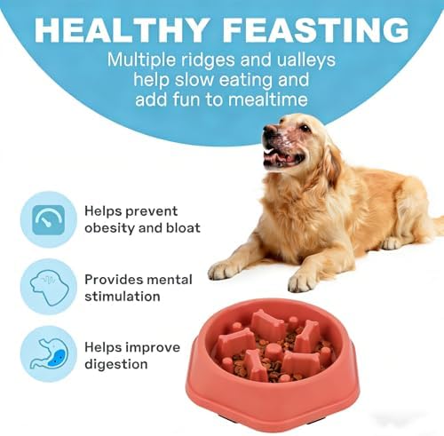 Slow Feeder Dog Bowls Anti Gulping Reduces Gastric Burden Prevents Bloat and Digestive Issues Safe Durable Material Easy to Clean Puppy Slow Feeder Bowl for Healthy Eating Excess Energy Management - Image 2