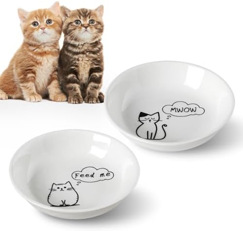 HAPPY KIT 2pcs Little Cat Bowls, 5Inch Cat Food Bowl for Indoor Cats by HAPPYKIT
