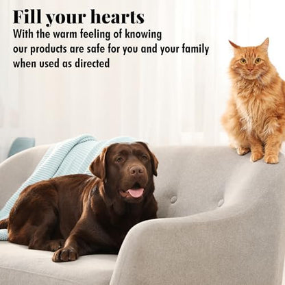 Citrus Magic Pet Solid Air Fresheners, Fresh Citrus, 20 Ounce, Pack of 2 - Image 7