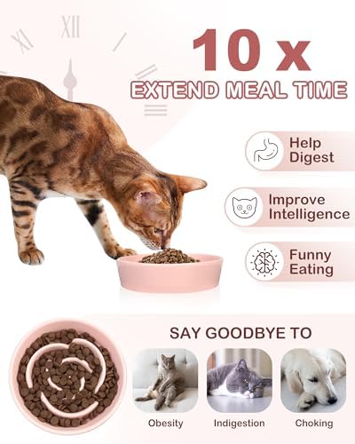 TRUVIC Ceramic Slow Feeder Dog Bowls Small Breed, 0.6 Cup Slow Feeder Cat Bowls for Fast Eaters, Ceramic Dog Food Dish no Black Chin, Puzzle Bowl for Small Dogs and Cats, Pink - Image 3