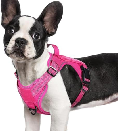 rabbitgoo Tactical Dog Harness for Small Dogs, No Pull Service Pet Vest by rabbitgoo