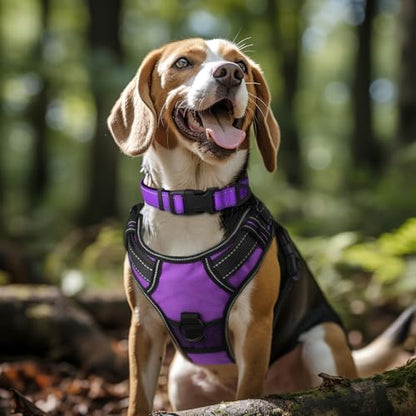 Joytale Reflective Dog Collar, Adjustable Neoprene Padded, Purple XL - Image 2