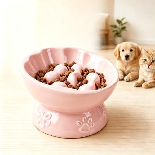 Ceramic Slow Feeder Cat Bowl, Elevated Tilted Design, Pink by Unknown