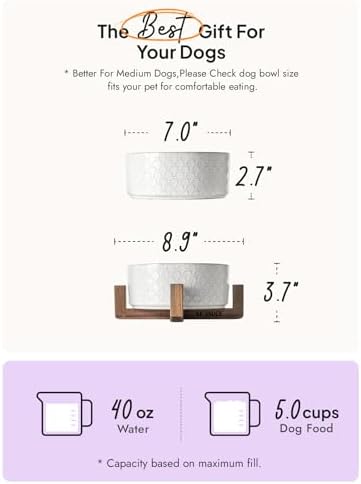 LE TAUCI Ceramic Dog Bowls for Large Dogs, 7" Elevated Water Bowl with Acacia Wood Stand, Single Set for Food & Water, Fireworks - Image 3