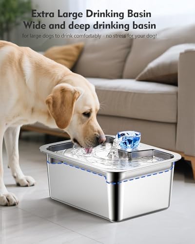 3 Gallon Stainless Steel Dog Water Fountain, Large Dogs, 2 Filters - Image 6