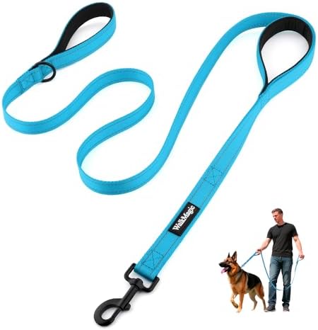 Heavy Duty Double Handle Dog Leash 6 ft Long for Total Control, Padded 2 Handle, Reflective Training Lead for Medium Large Dogs (Sky Blue, 6 FT) by Unknown