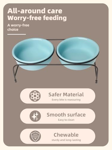 GDCZ Elevated 15 Oz Ceramic Double Cat Bowls with 11x3.5 Inch Stand (Turquoise) - Image 3