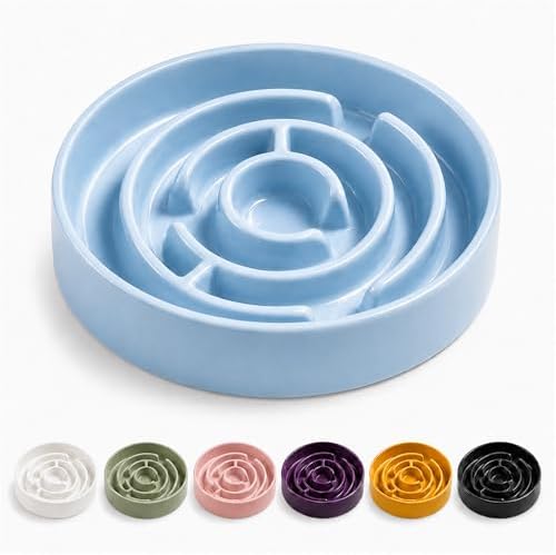Ceramic Slow Feeder Dog Bowl 1.5 Cup Puzzle Dish for Small Medium Dogs by Unknown