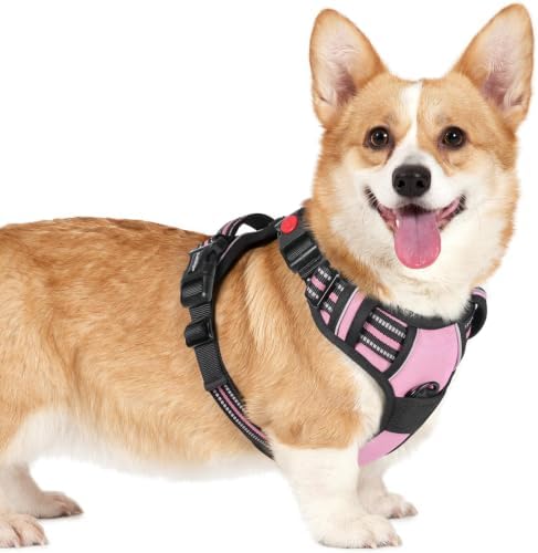 rabbitgoo Dog Harness Small Sized, Updated Easy On & Off with 3 Buckles by rabbitgoo