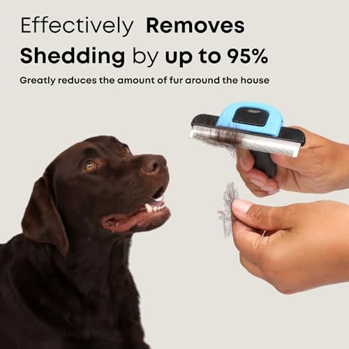 Short Hair Deshedding Brush for Dogs & Cats - Grooming Comb - Image 2