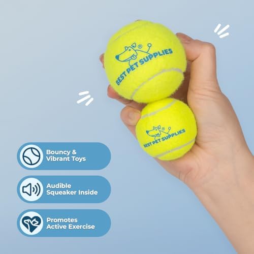 Best Pet Supplies Interactive Squeaky Dog Chew Toy, Ideal Dog Toys for Chewers, Small, Medium & Large Dogs, and Fetch Lovers - Tennis (Yellow), Small (Pack of 4) - Image 2