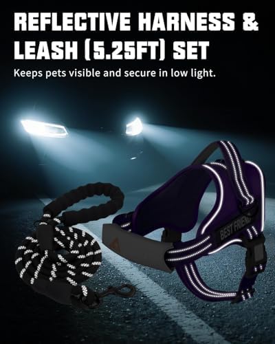 AUROTH Dog Harness and Leash Set Small Sized Dog, No Pull Escape Proof Vest - Image 4