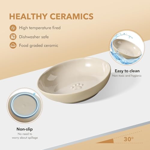 Havniva Elevated Cat Bowls, Cat Food and Water Bowl Set, Ceramic Cat Bowl - Image 3