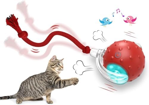 Interactive Cat Toys Ball for Indoor Cats Fast Rolling on Carpet, Chirping & Motion Activate Cat Toys (Red) by Unknown