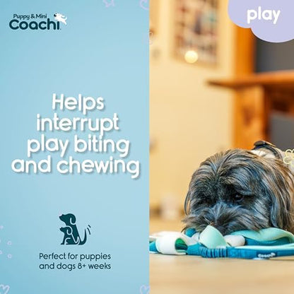 Coachi Puppy & Mini Tuggi Spider - Dog Toy for Tug of War & Play - Image 3