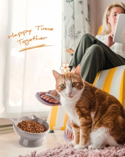 Raised Cat Food Bowl Ceramic 15° Tilted Cat Food Bowls Protect Cat's Spine Anti Vomiting Backflow Prevention Bowls for Adult Kitty, Kitten, and Small Dogs, Grey - Image 6
