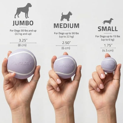 Playology Squeaky Chew Ball Dog Toy - Medium, Lamb Scent - Image 5