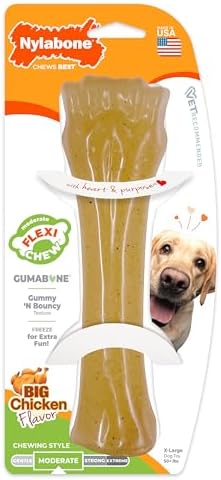 Nylabone Flexi Chew Gumabone Dog Chew Toy, Chicken Flavor, X-Large by Nylabone
