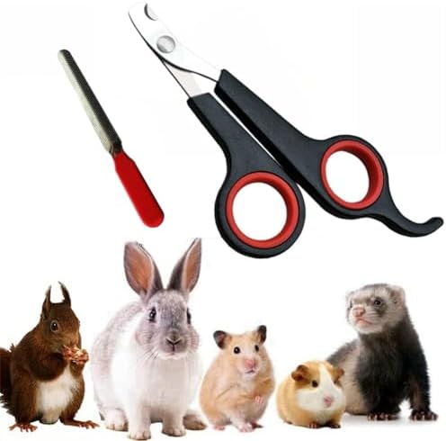 Rabbit Nail Clippers and Trimmers Stainless Steel Pet Claw Grinding Scissors for Small Breeds Cats Guinea Pig Puppy Ferret Hamsters Chinchilla Sugar Glider Grooming Tool Set (Black) by HAICHENTEC
