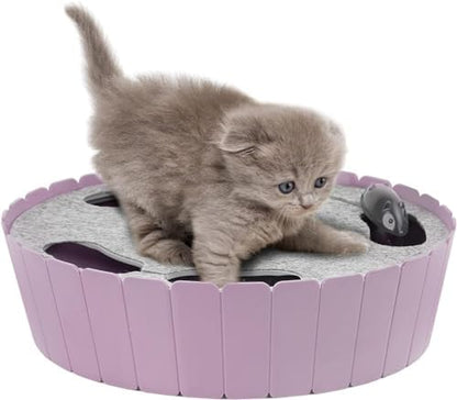 Pawaboo Interactive Cat Toy with Running Mouse, Automatic Track Kitten Toy by Pawaboo