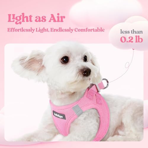 rabbitgoo Dog Harness Small Sized and Leash Set, Step-in Puppy Pet Vest - Image 4