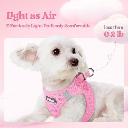 rabbitgoo Dog Harness Small Sized and Leash Set, Step-in Puppy Pet Vest - Image 4