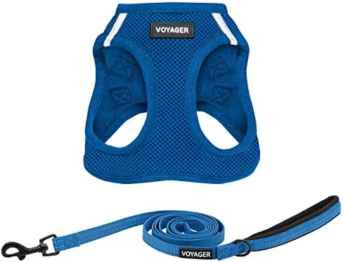 Best Pet Supplies Voyager Step-in Air All Weather Mesh Harness and Reflective Dog 5ft Leash Combo with Neoprene Handle, for Small, Medium and Large Breed Puppies - Royal Blue, Large by BestPetSuppliesLLC