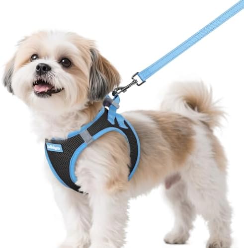 rabbitgoo Dog Harness Small Sized and Leash Set, Step in Soft Vest by rabbitgoo