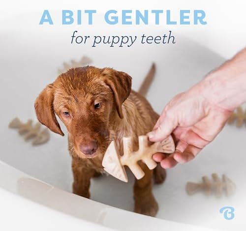 Benebone Puppy 4-Pack Dog Chew Toys for Gentle Chewers, Dog Bones, Small - Image 2