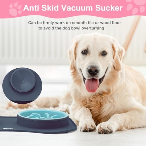 Slow Feeder Dog Bowls 3 in 1 Stainless Steel Food Water Bowl to Slow Eating - Image 2