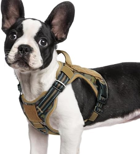 rabbitgoo Tactical Dog Harness for Small Dogs, No Pull Service Pet Vest by rabbitgoo
