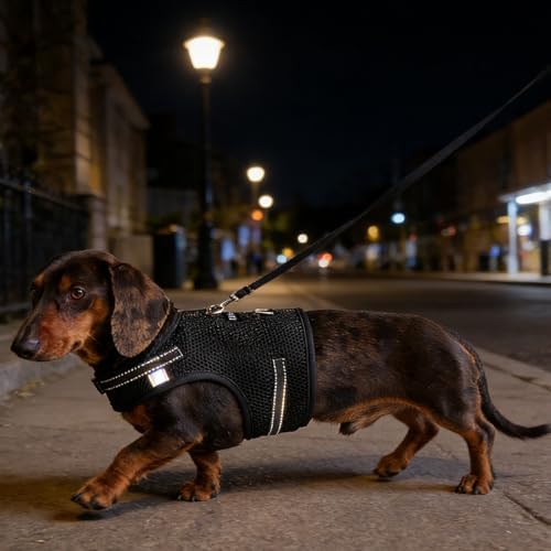 Mini Dachshund Harness – No Armpit Rub, Escape Proof, Reflective, No Pull Vest-Style Dachshunds Harness,Breathable Mesh Dog Harness (Black, S: Chest 32-41cm (12.5"-16")) - Image 5