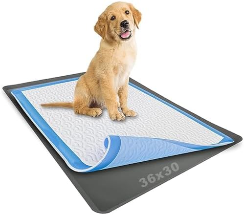 Dog Pee Pad Holder - Fits Up to 30” x 36” Pee Pad - 1 Pack - Grey by Skywin