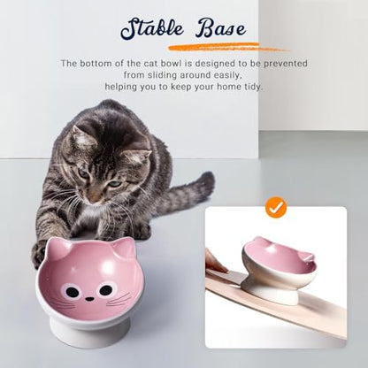 Raised Cat Food Bowl Ceramic 15° Tilted Cat Food Bowls Protect Cat's Spine Anti Vomiting Backflow Prevention for Adult, Kitten, and Small Dogs (Pink) - Image 5