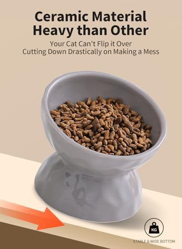 5 Inch Grey Tilted Ceramic Raised Cat Bowls Set of 2 - Image 7