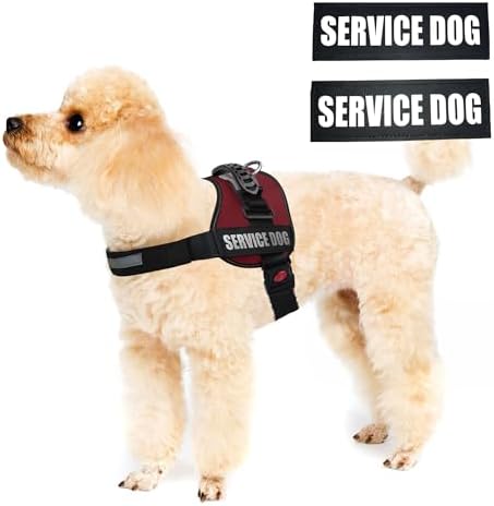ALBCORP Service Dog Vest Harness – Reflective Service Animal Vest, No-Pull Harness with Handle & Mesh Padding – Sizes XXS-XL for Puppies – 2 Removable Service Patches Included (Extra Small, Maroon) - Image 2