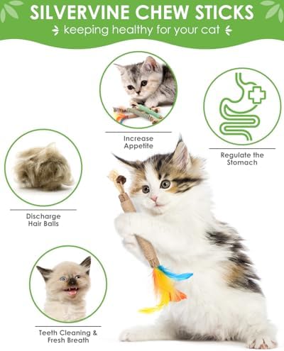 TINDTOP Catnip Chew Toys for Cats, 4 Pack Natural Silvervine Sticks for Kittens Teeth Cleaning, Matatabi Dental Care, Increase Appetite, Aggressive Chewers Cat Dental Toy - Image 2